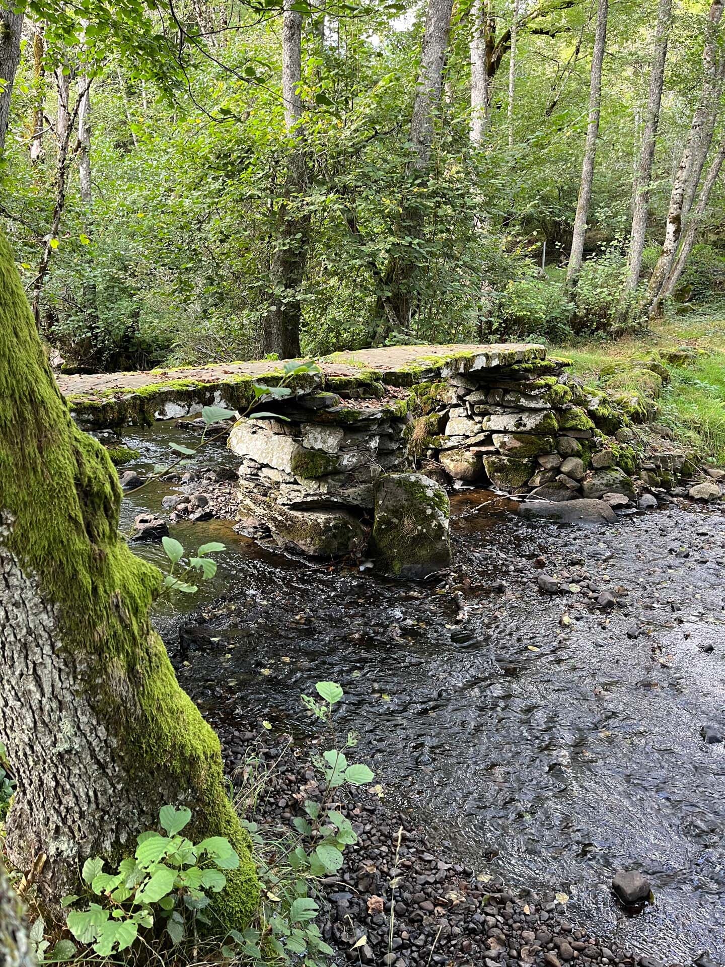 Petit pont sur le sentier des sabots de Josselou à Chastreix