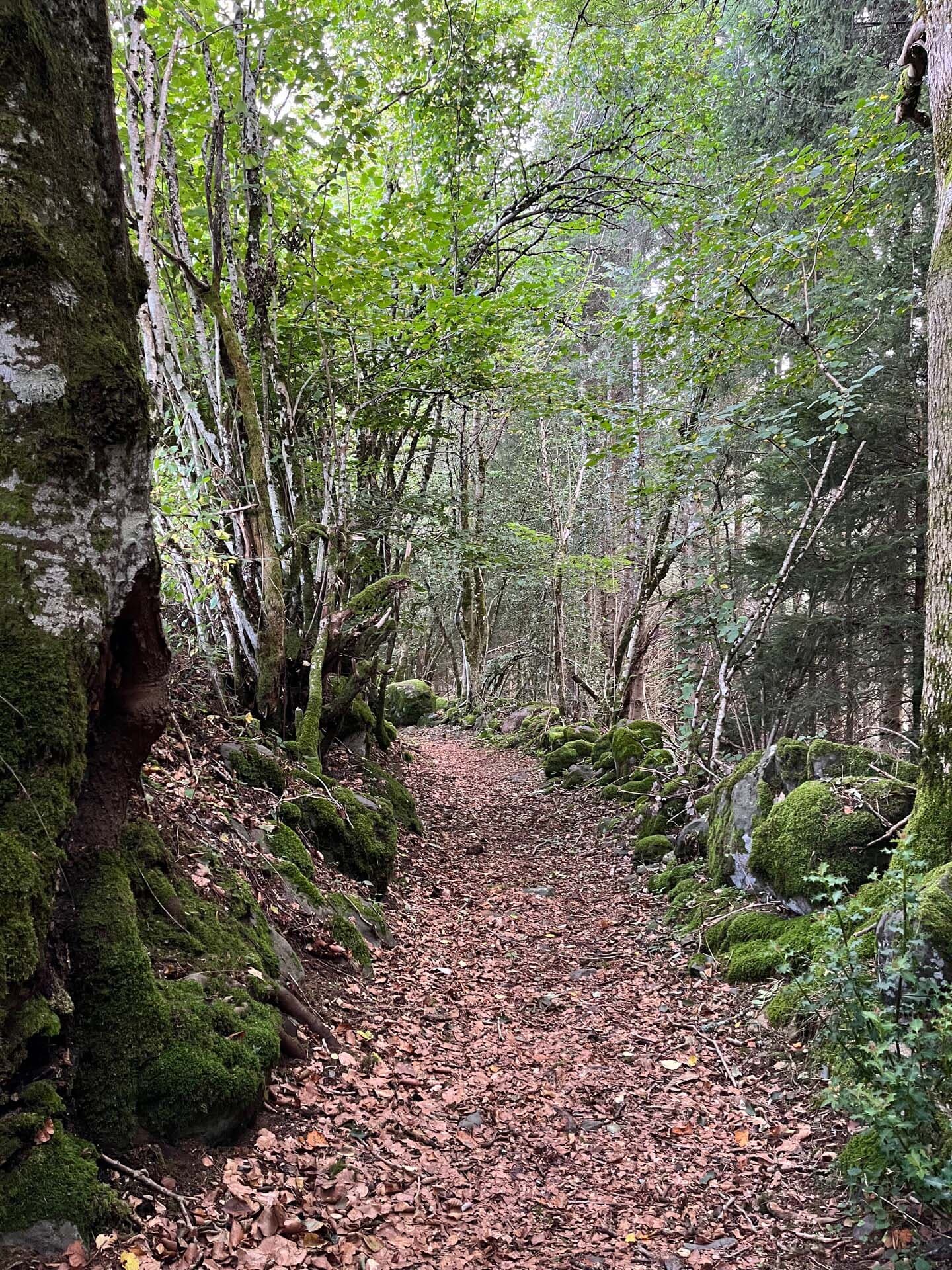 Sur le sentier des sabots de Josselou à Chastreix