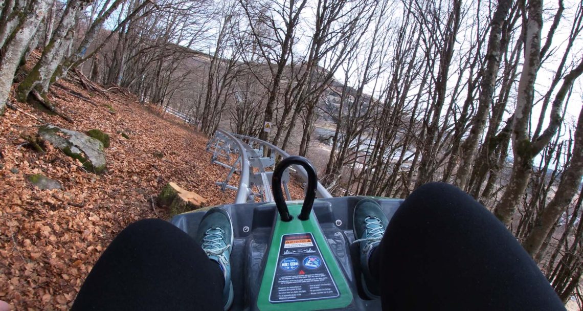 Descente en luge sur rails dans le Sancy