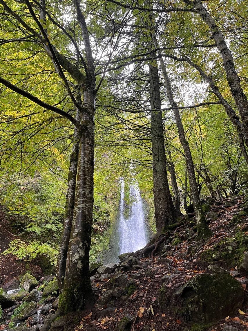Découvrir la cascade de Pérouse au cœur de la réserve Naturelle de la vallée de Chaudefour
