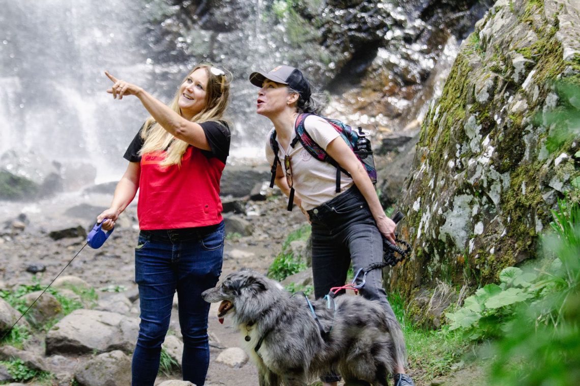 Petite balade matinale aux cascades du Queureuilh et du Rossignolet avec votre chien au Mont-Dore
