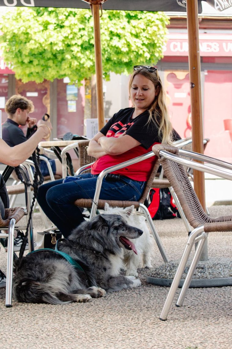 Pause déjeuner en terrasse avec votre chien au Mont-Dore