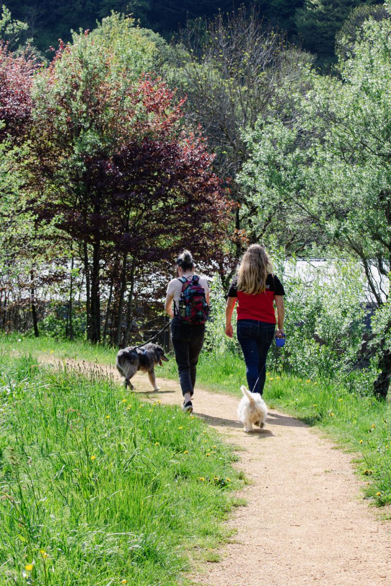 Promenade avec votre chien en fin de journée au parc des Léchades au Mont-Dore