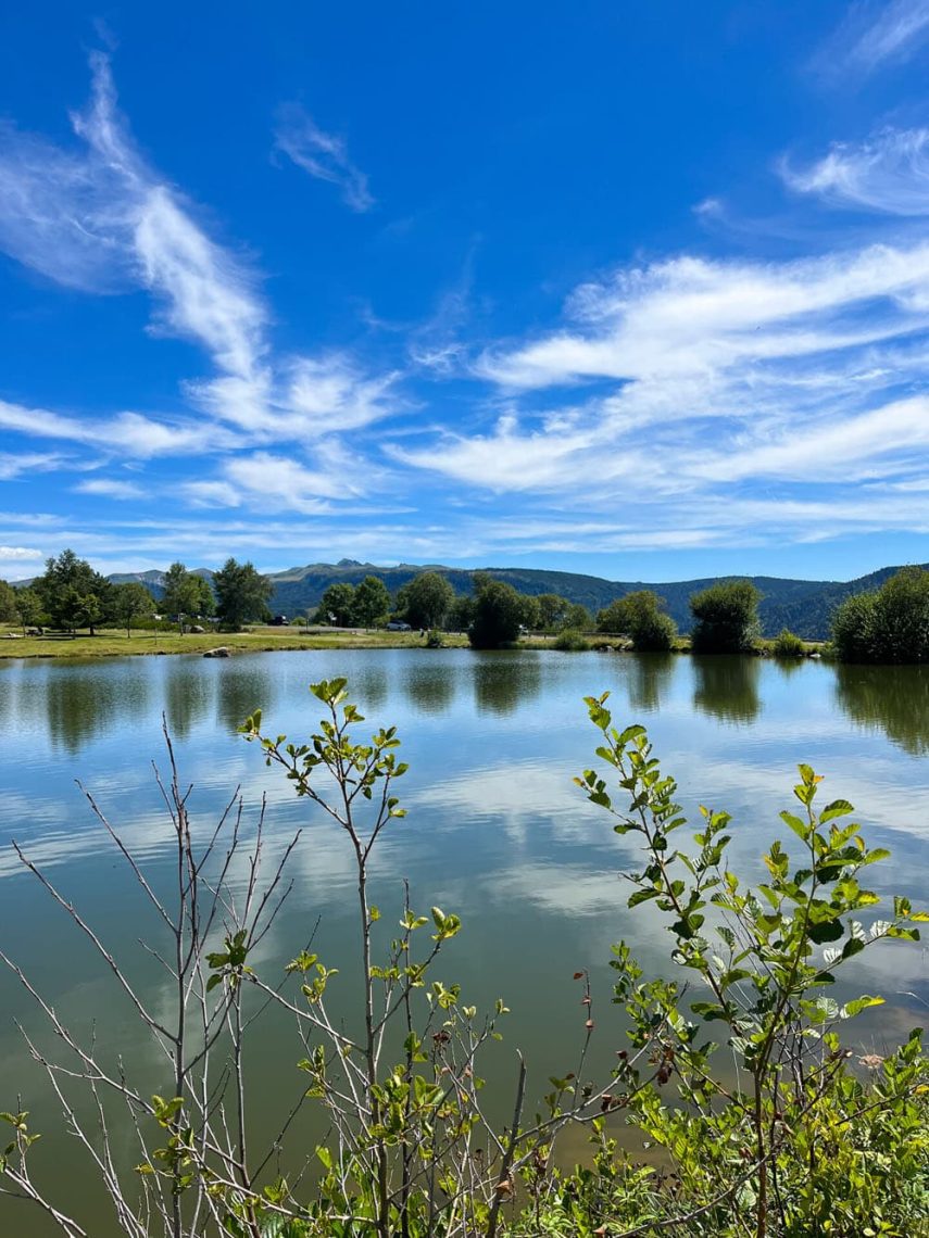 Promenade au plan d'eau du pré Cohadon à Murat-le-Quaire avec votre chien