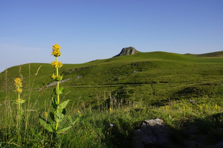 La Banne d'Ordanche, témoignage de l'activité volcanique dans le Massif Central.