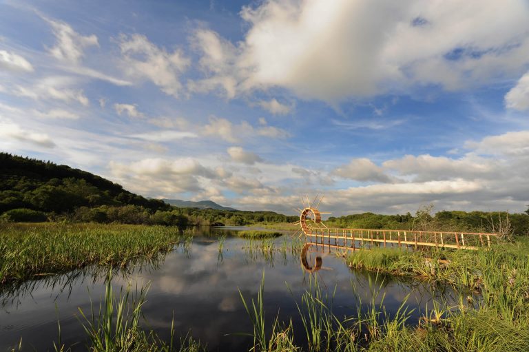 Horizons Arts Nature en Sancy, Back Flip Bridge de Tanya Preminger