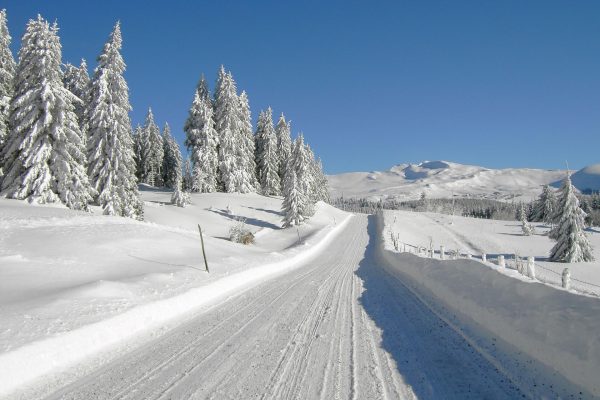 L'hiver, consultez l'état des routes avant de se déplacer