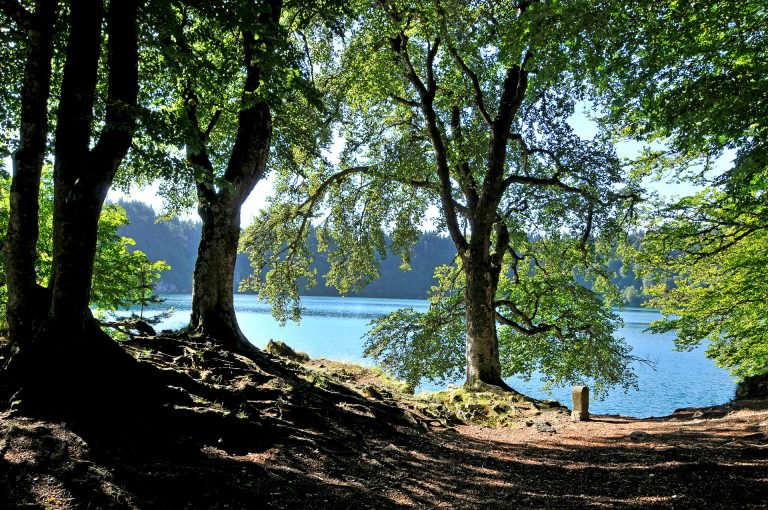 Les forêts du Lac Pavin à Besse