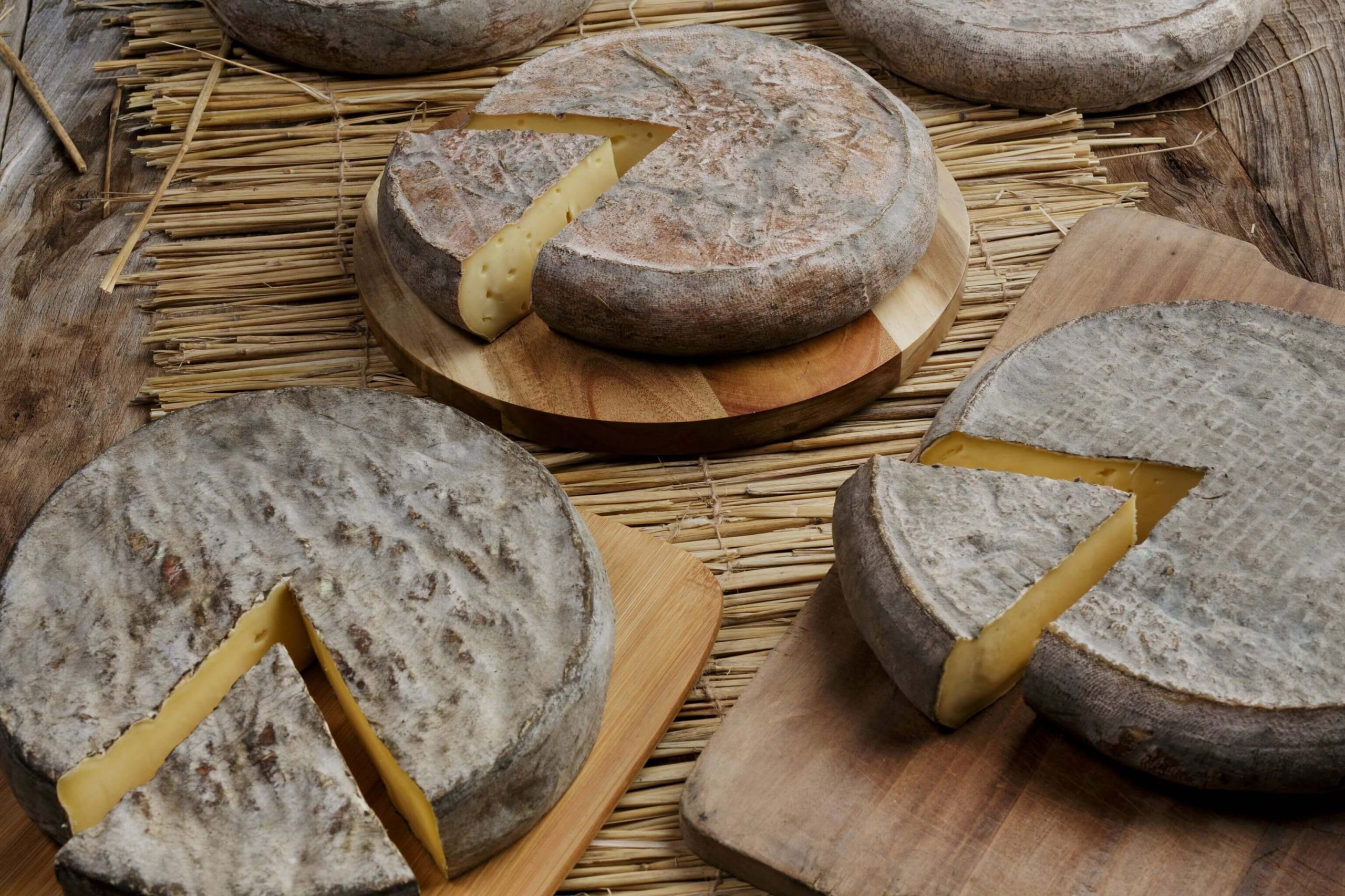 Le fromage saint-nectaire au bon goût de noisettes