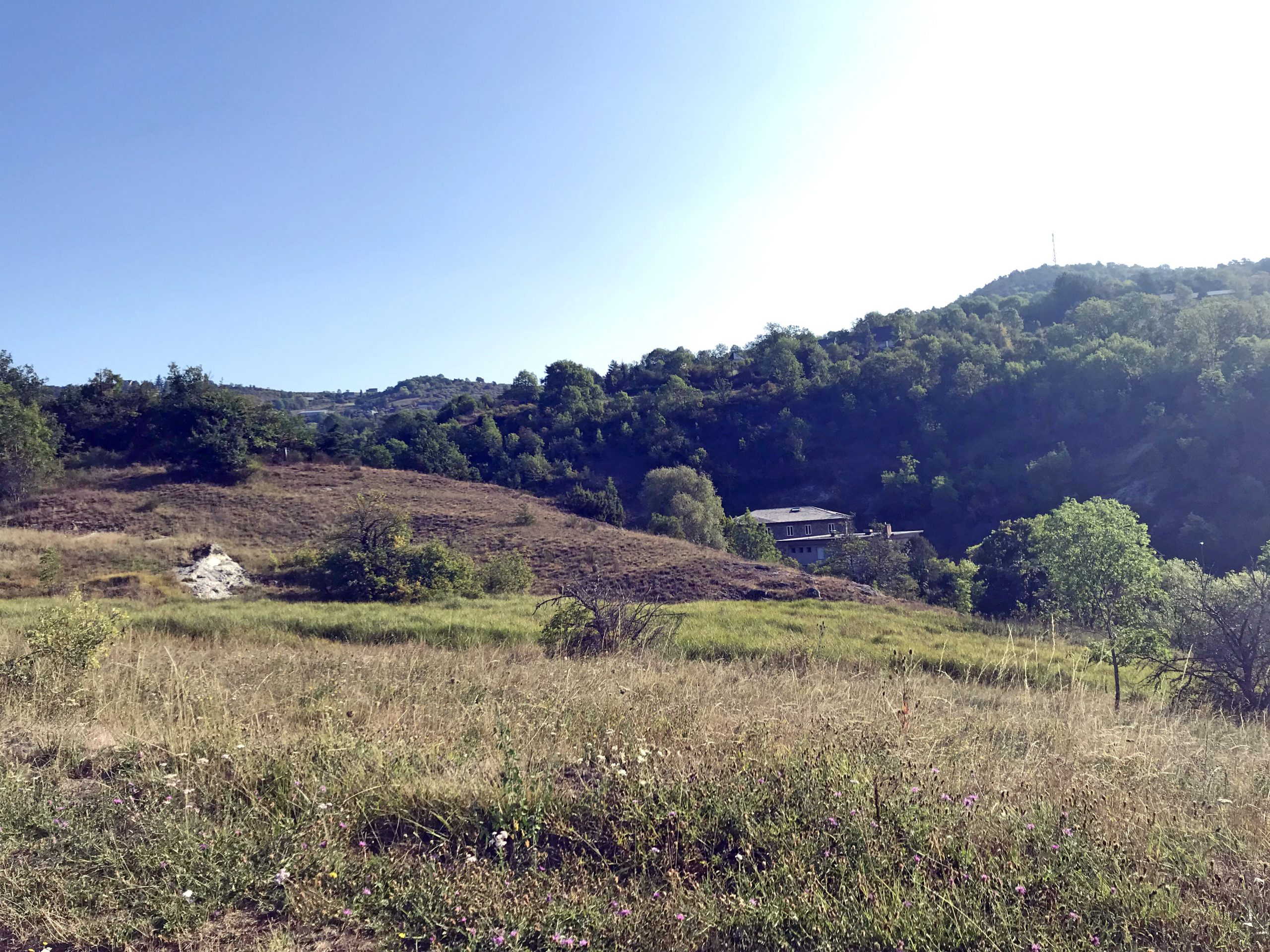 Le marais salé à Saint-Nectaire