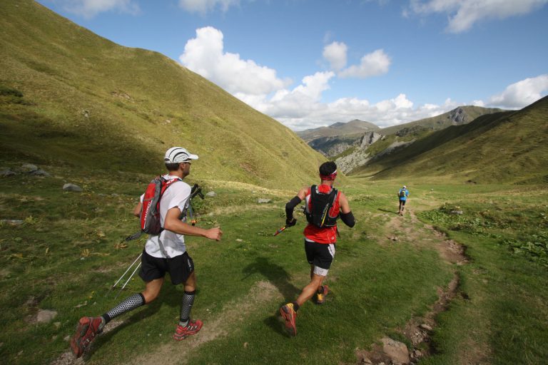 Trail dans le Sancy