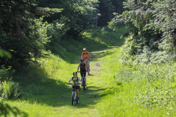 Trottinettes électriques dans le Massif du Sancy