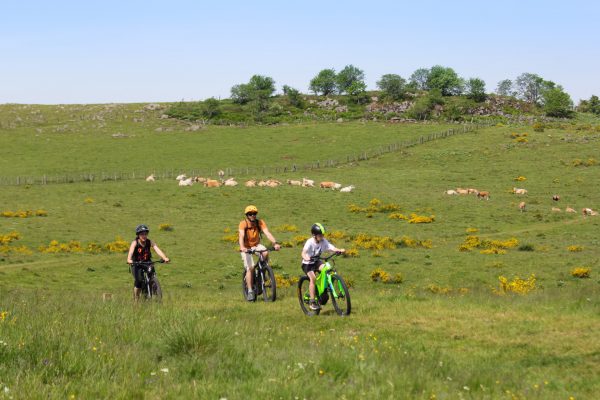 Location de VTT, trottinettes électriques dans le Sancy