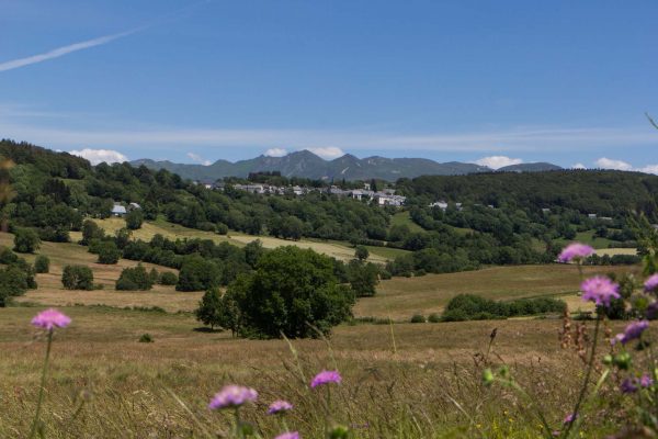 Picherande dans le Massif du Sancy