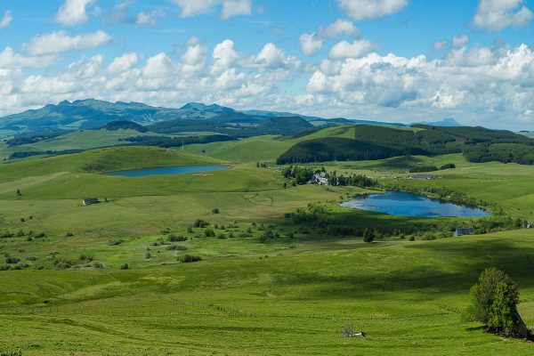 Le Réserve Naturelle des Sagnes de La Godivelle