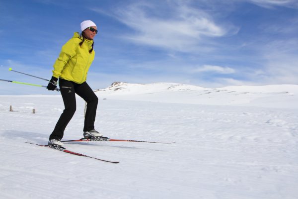 Jetez un œil aux webcams de Besse Pertuyzat ou de la Stèle avant votre sortie ski de fond dans le Massif du Sancy