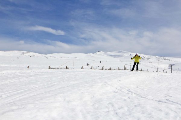 Ski de fond sur les Plaines Brûlées