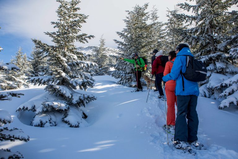 Balade raquettes à Super Besse dans le Sancy