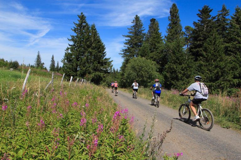 circuit_vtt_courbanges_saint_victor_la_riviere_sancy_explorer