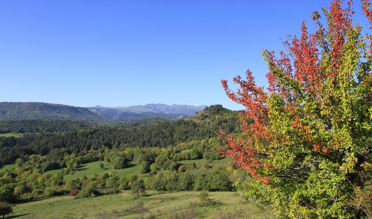 circuit_vtt_farges_saint_nectaire_sancy_explorer