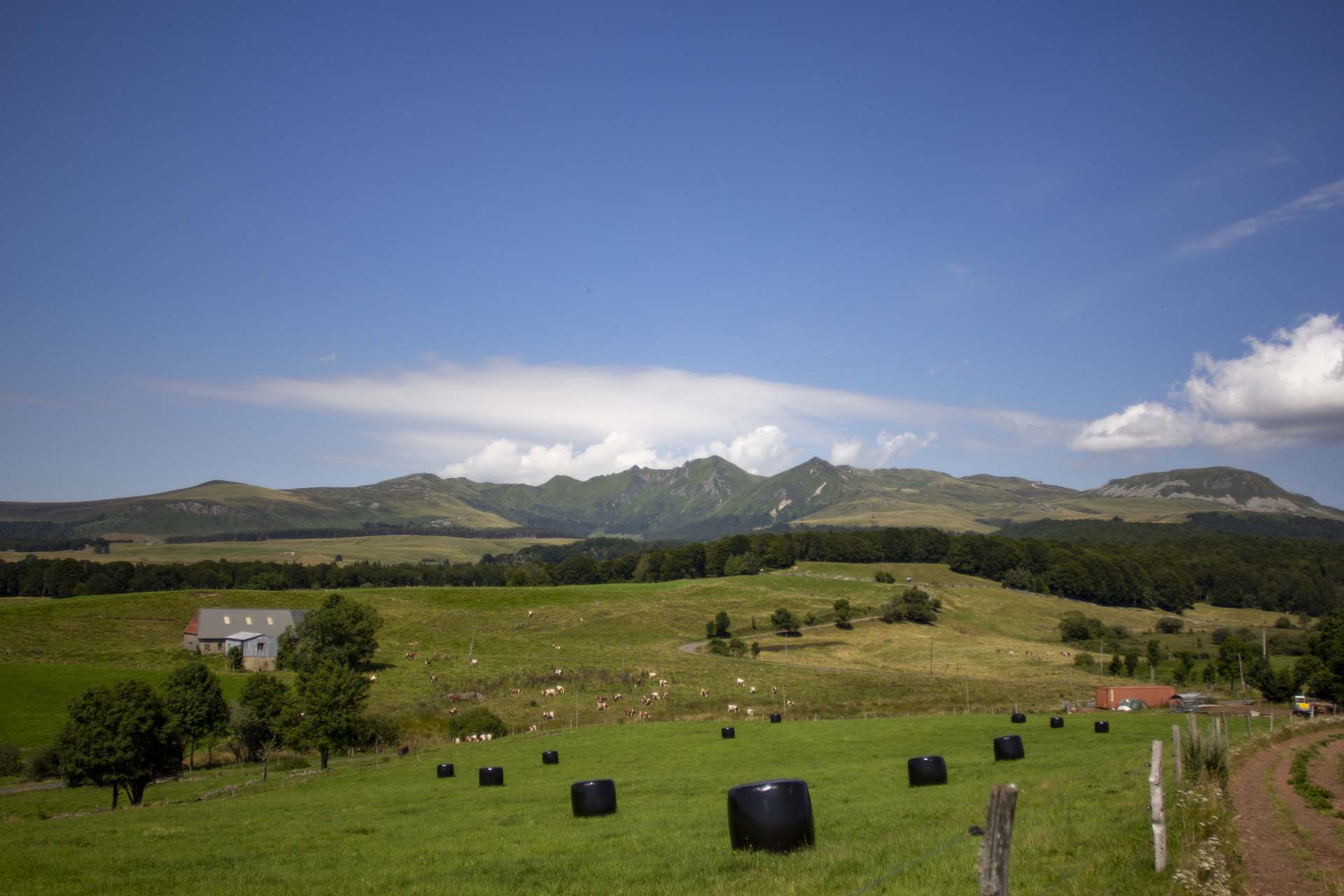 Vue sur le Massif du Sancy depuis le Puy de Chareire à Picherande