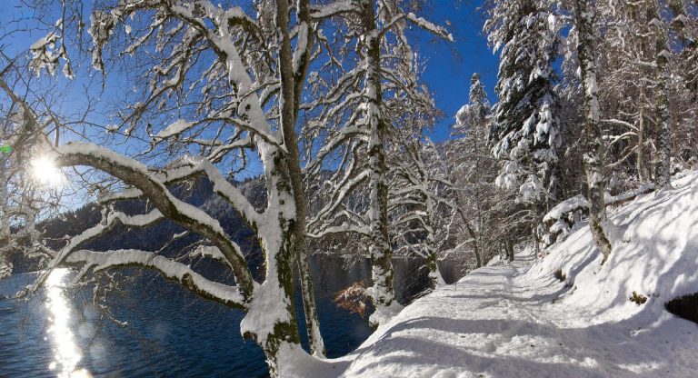 Cheminer au bord du Lac Pavin en hiver, c'est magique !
