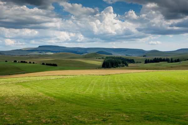 Le Cézallier depuis Brion, à Compains