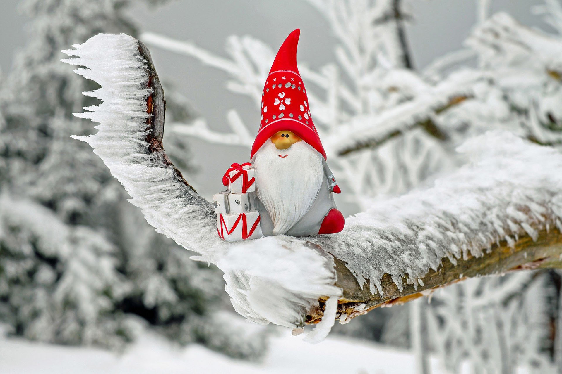 Noël dans le Sancy