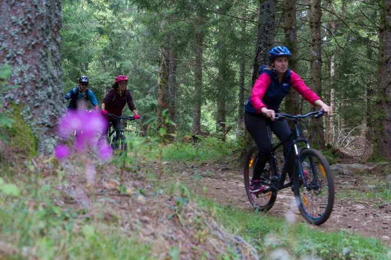 Randonnée en VTT dans le Sancy