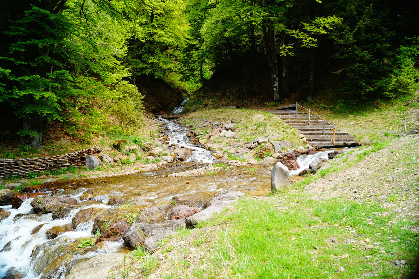 Pique-nique à la source de la Dordogne au Mont-Dore, au pied du Puy de Sancy