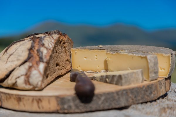 le bon fromage Saint-Nectaire, la star du Sancy