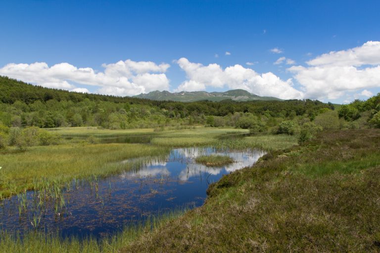 La Tourbière de Gayme à Picherande