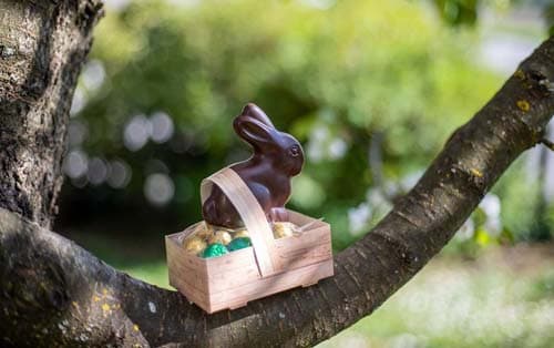Animations de Pâques dans le Sancy