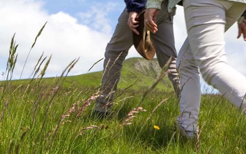 Randonnée pédestre dans le Sancy, secteur de Chastreix-Sancy