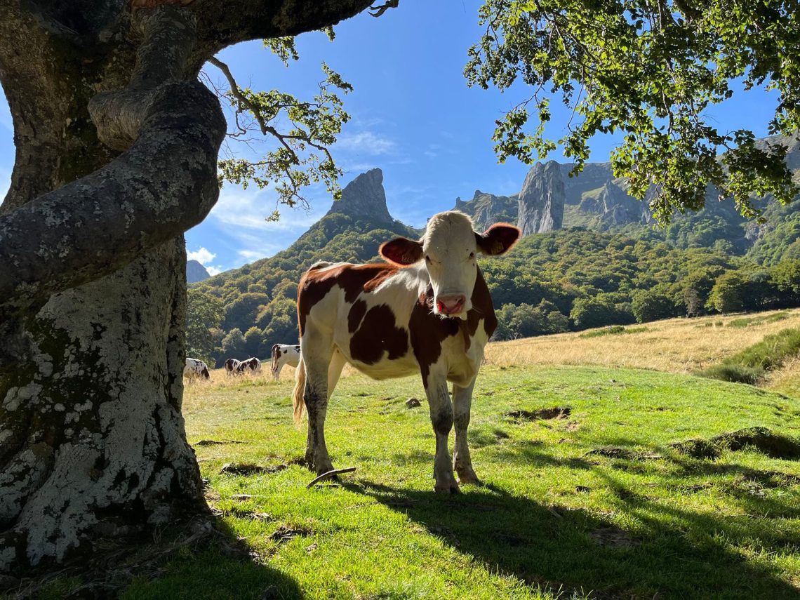 Randonnée dans la réserve naturelle nationale de la Vallée de Chaudefour