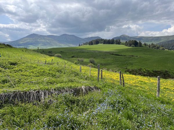 Le Sancy tout en vert au Printemps