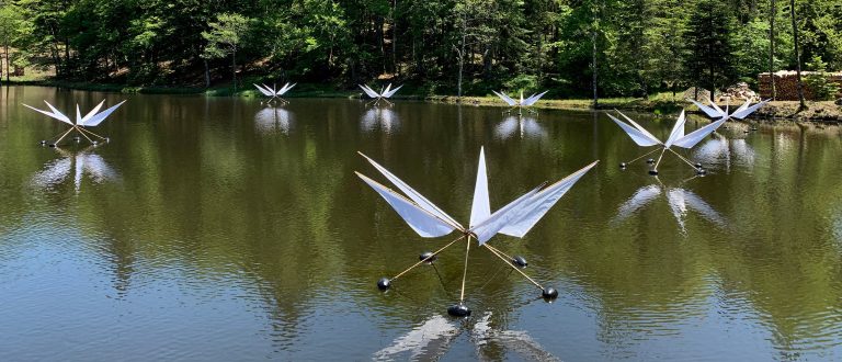 Ballet d’araignées d’eau de Didier Ferment et Bruno Tondellier - Horizons 2023
