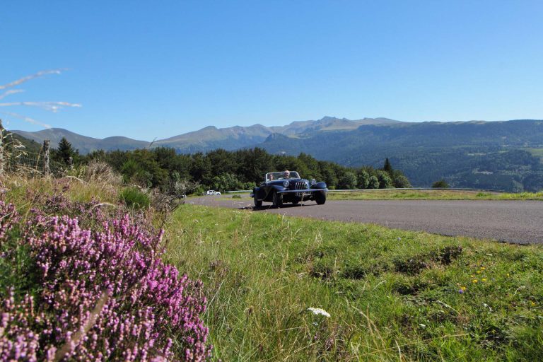 Halt ô Stop dans le Massif du Sancy