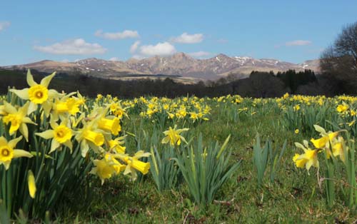 Passez vos vacances de Pâques dans le Sancy