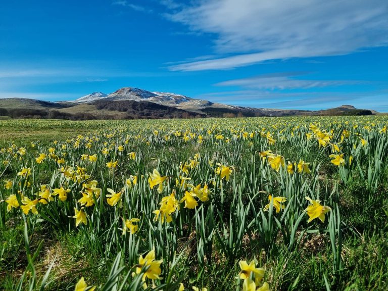 Les montagnes du Sancy au printemps