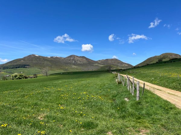 Le massif adventif dans le Sancy au printemps