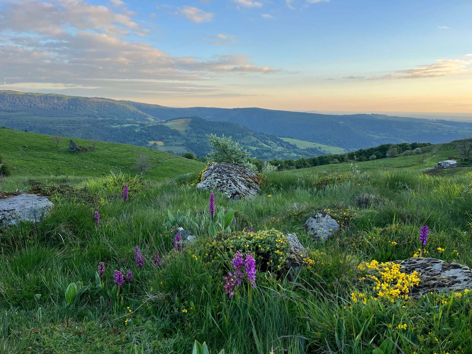 Randonnée pédestre au printemps au puy Gros dans le Massif du Sancy