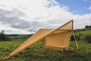 Horizons 2024 : Carapace de Marie Toulotte