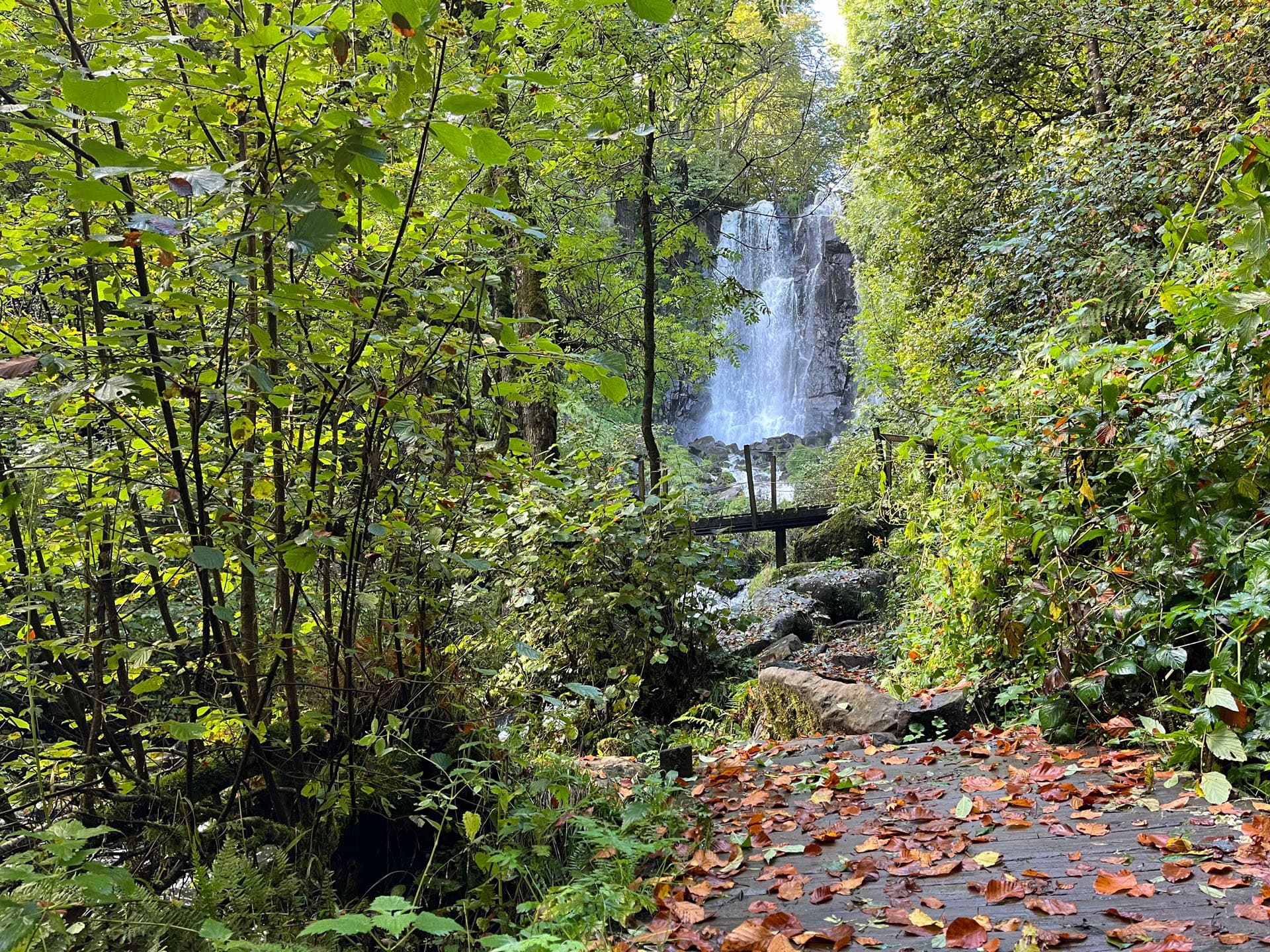 Les plus cascades du Sancy à l'automne