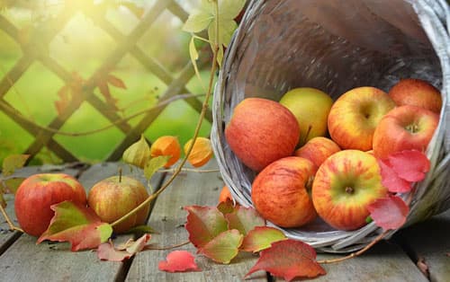 Les foires d'automne dans le Sancy pour faire le plein de bons produits