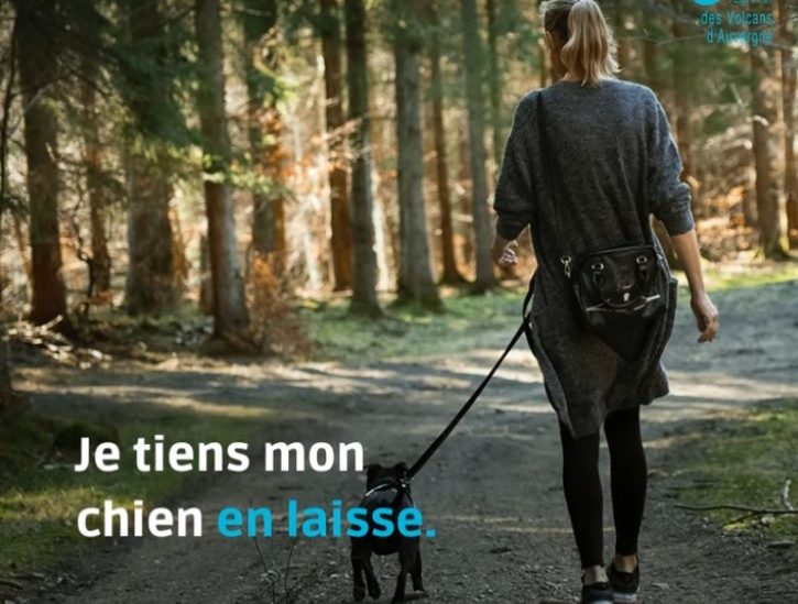 Les bons conseils du parc naturel des Volcans d'Auvergne, en balade avec un chien