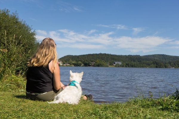 Un week-end à la montagne avec mon chien dans le massif du Sancy