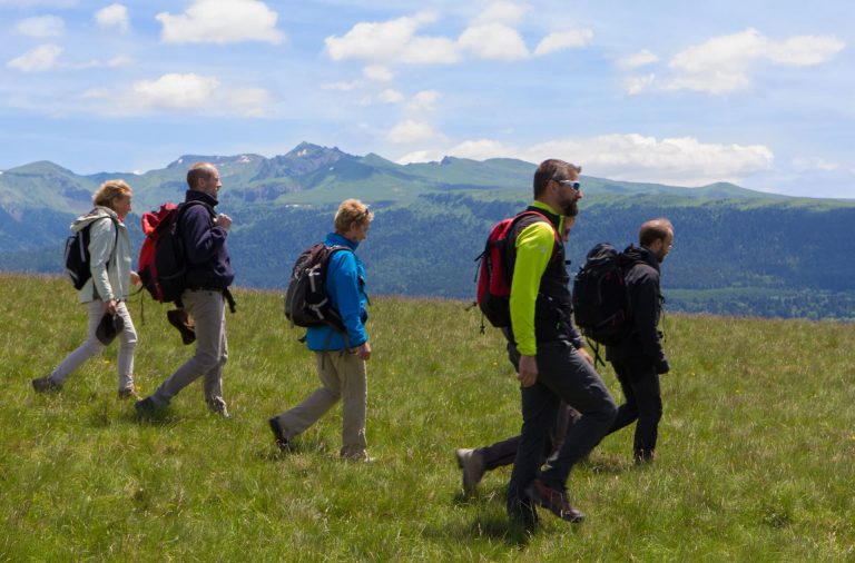 Randonnées avec un guide à la découverte du massif du Sancy en été