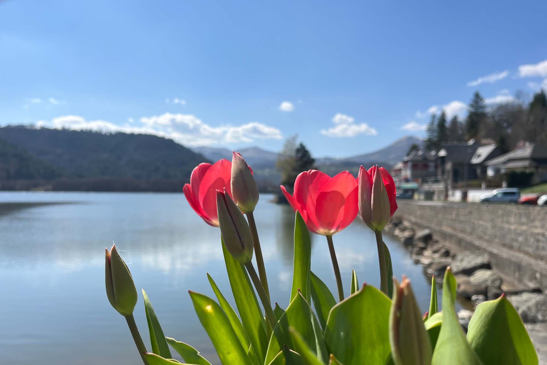 Le bleu doux du lac Chambon pour une balade apaisante au printemps dans le Sancy