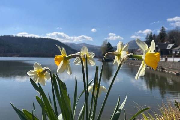 Au printemps, laissez-vous surprendre par les couleurs des lacs du massif du Sancy